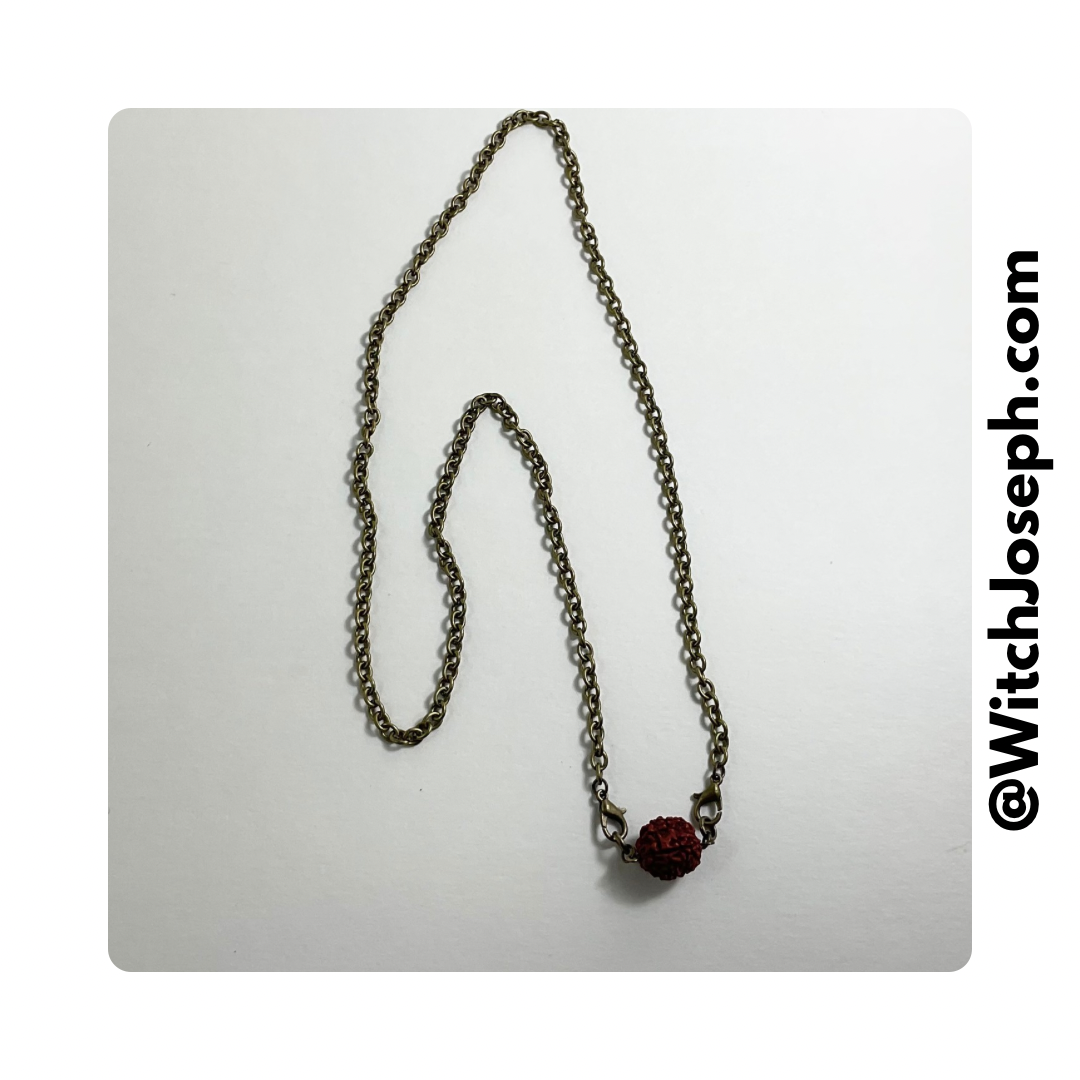 Rudraksha Bead on Bronze Tone Chain