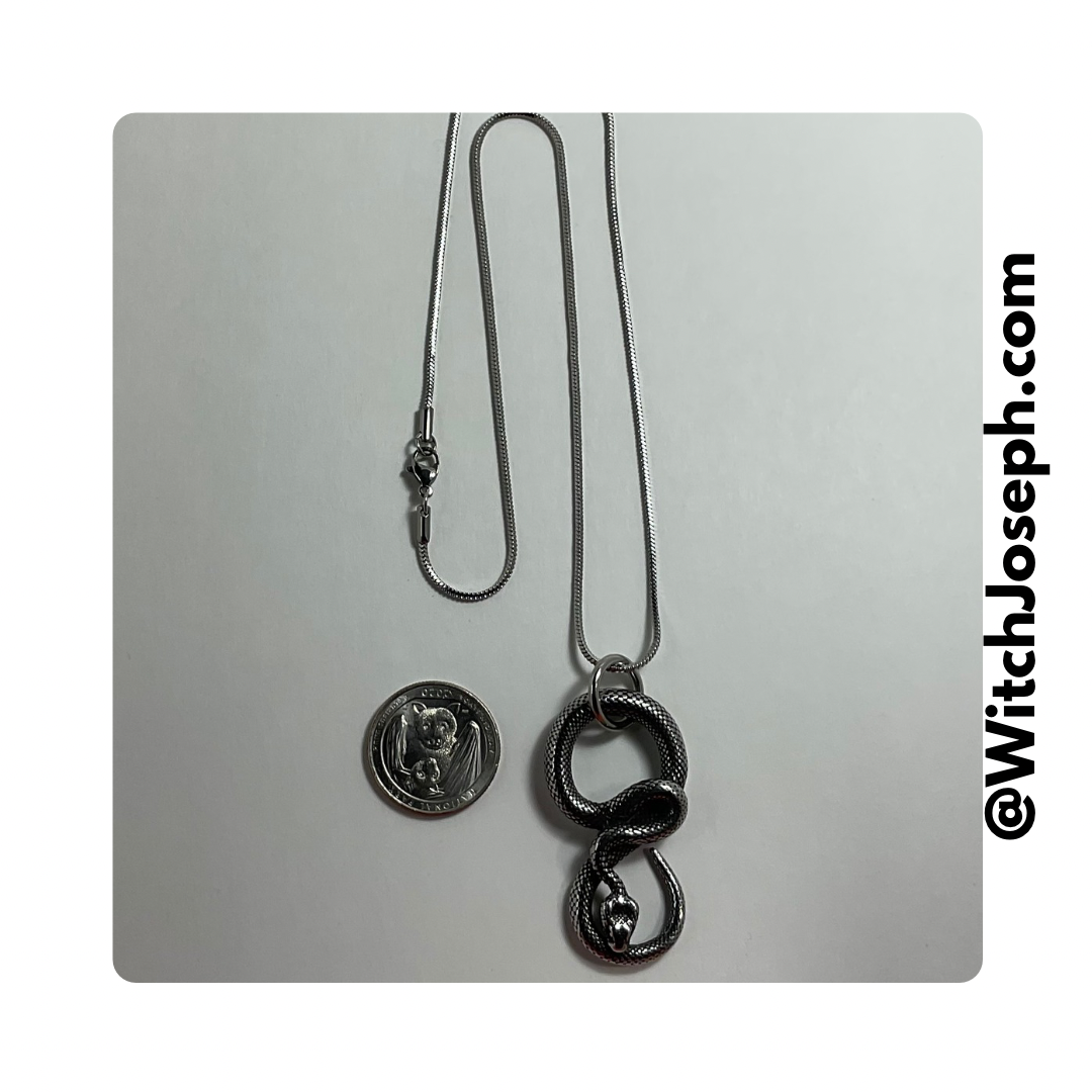 Snake Talisman Necklace