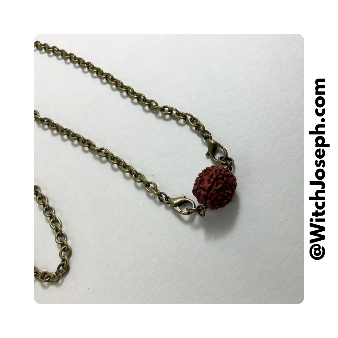 Rudraksha Bead on Bronze Tone Chain