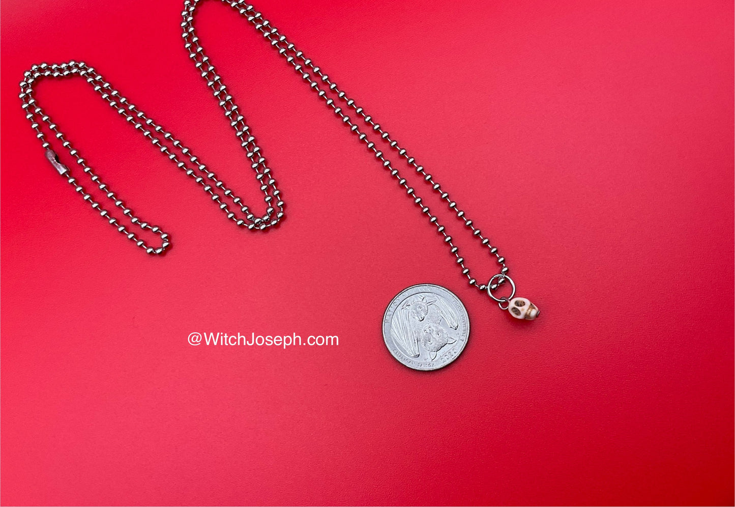 Skull Droplet Charm Necklace