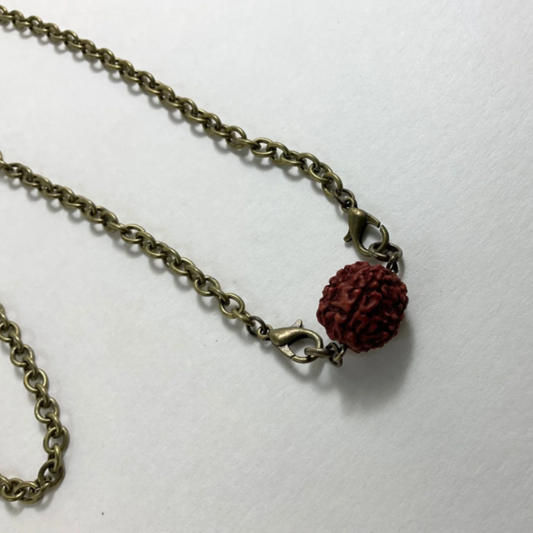 Rudraksha Bead on Bronze Tone Chain