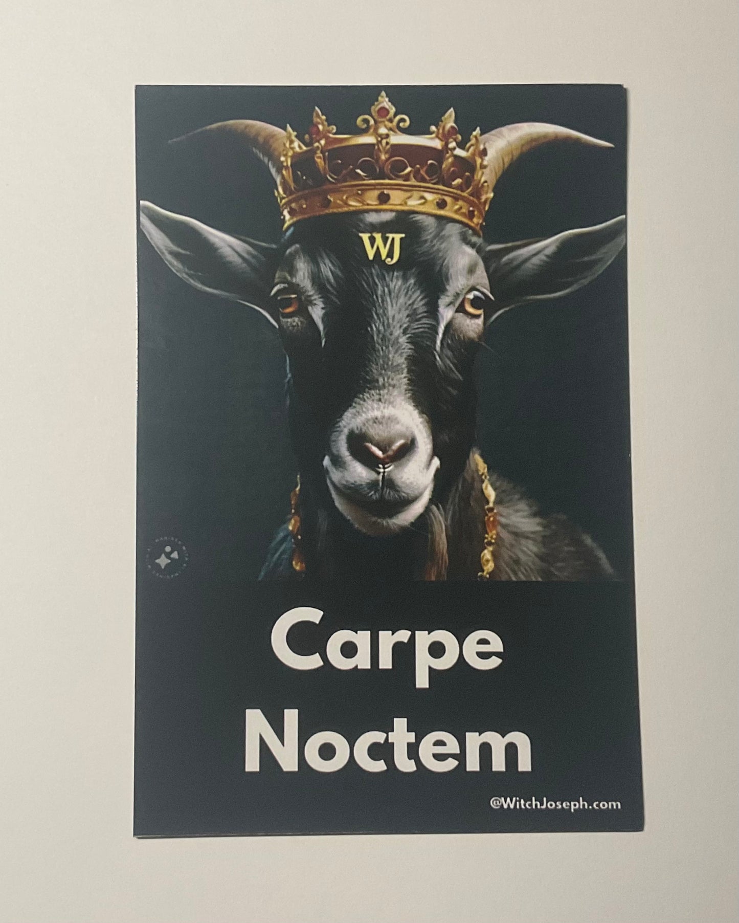 Carpe Noctem Magnet