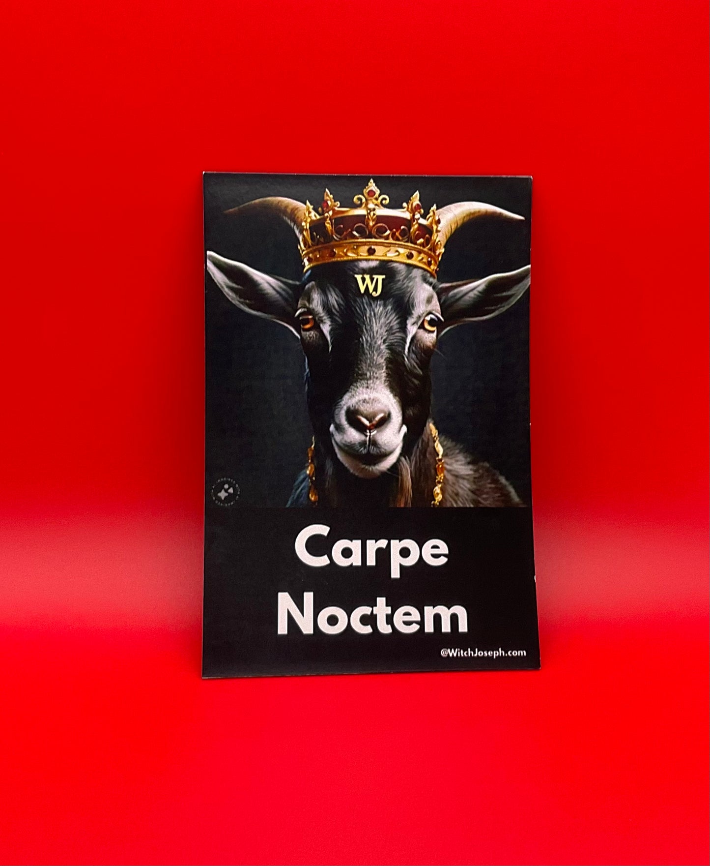Carpe Noctem Magnet
