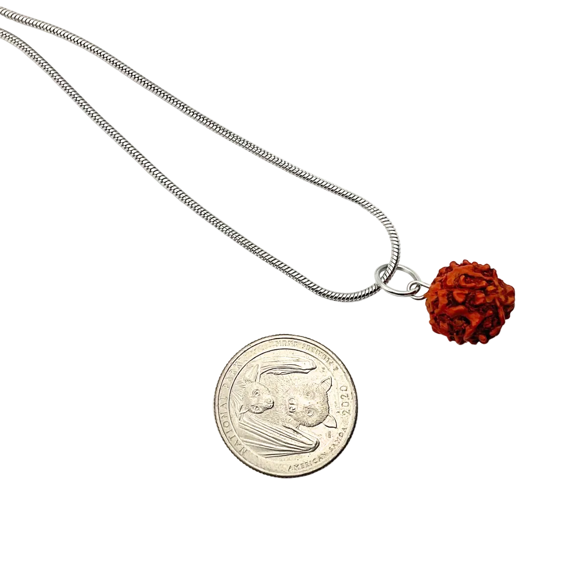 Necklace with a rudraksha bead next to a U.S. quarter on a white background