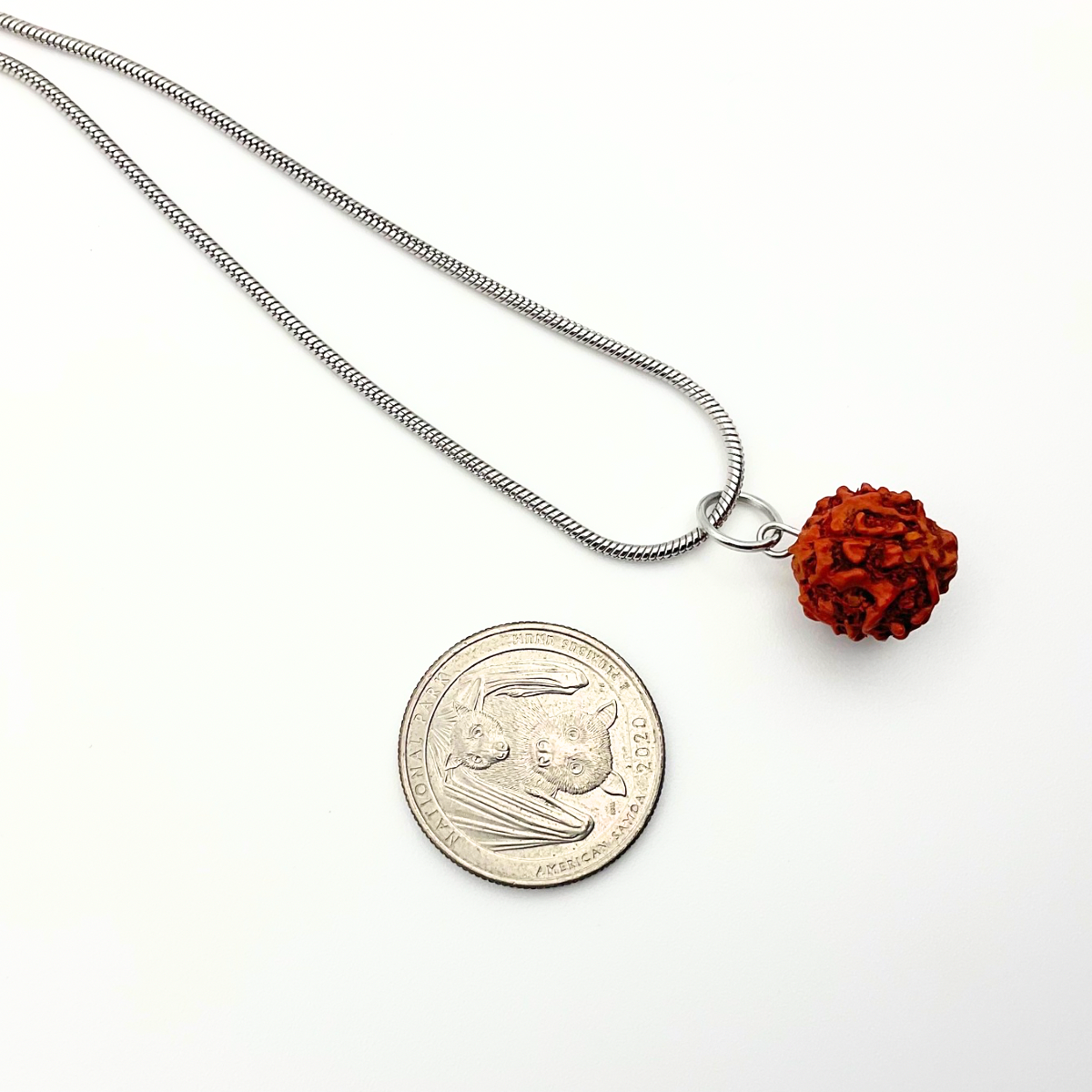 A photograph of the Rudraksha Bead Necklace on a 24 inch stainless steel snake chain with a prop quarter to show size