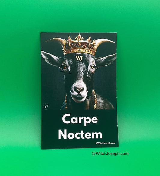 Carpe Noctem Magnet