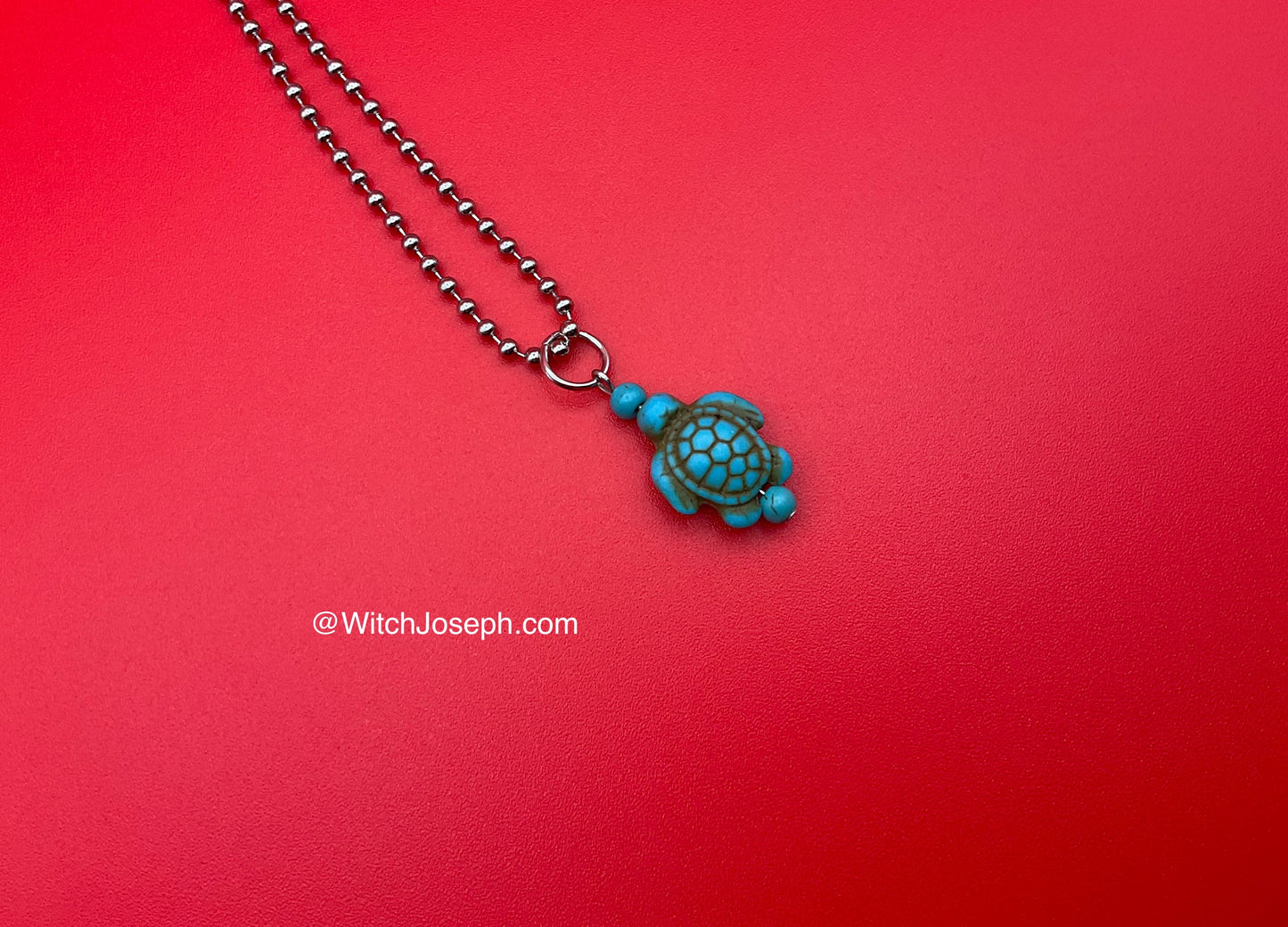 Turtle Charm Necklace