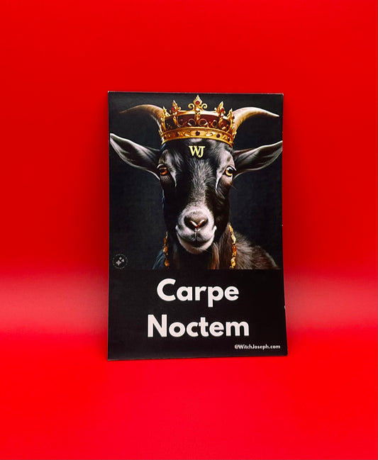 Carpe Noctem Magnet