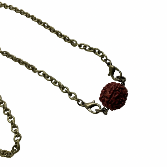 Rudraksha bead on a bronze tone chain displayed against a white background
