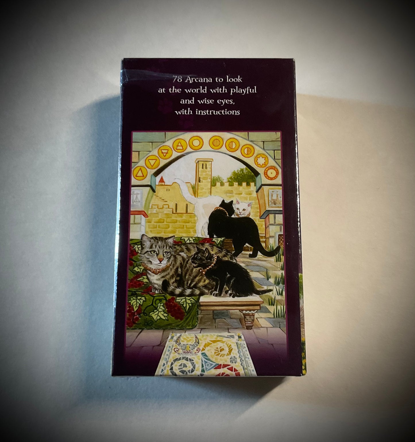 Pagan Cats Tarot Deck